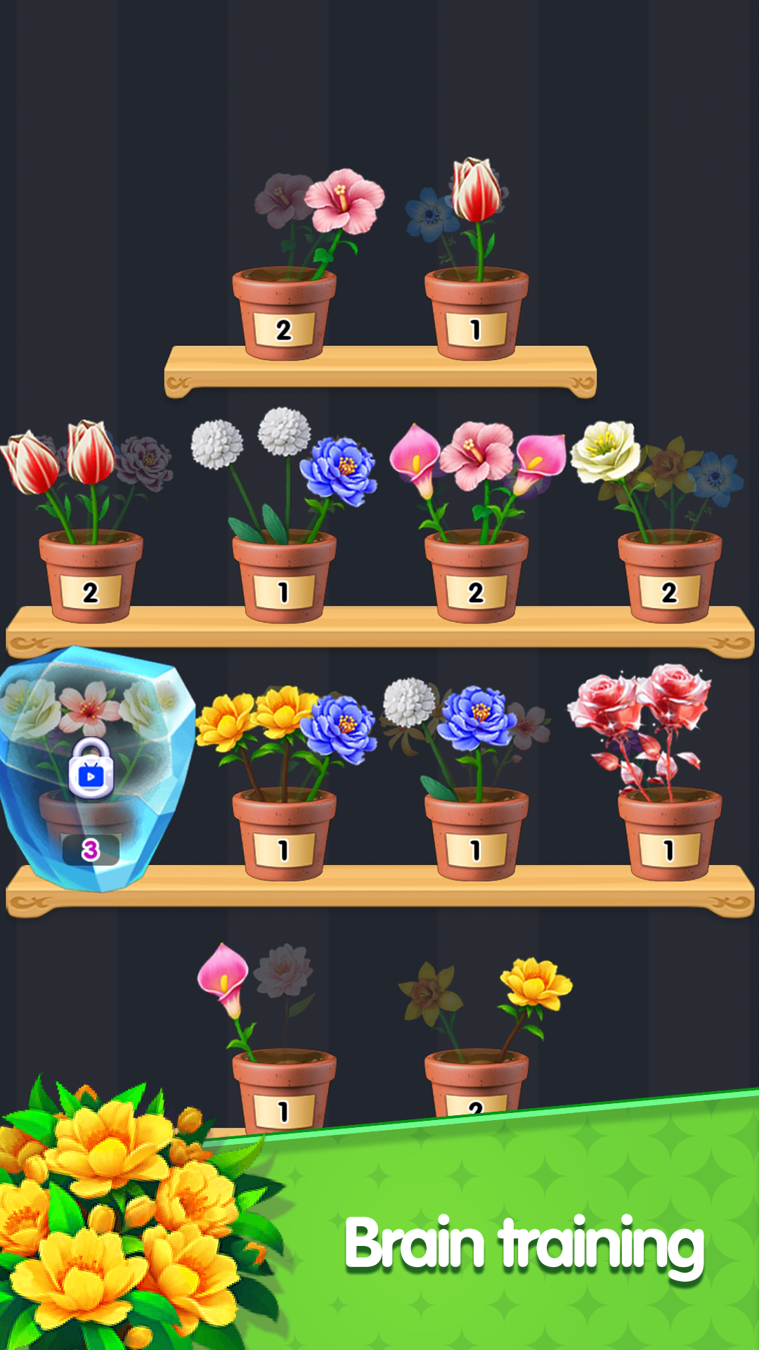 Triple Bloom Enigma Flower Matching Game