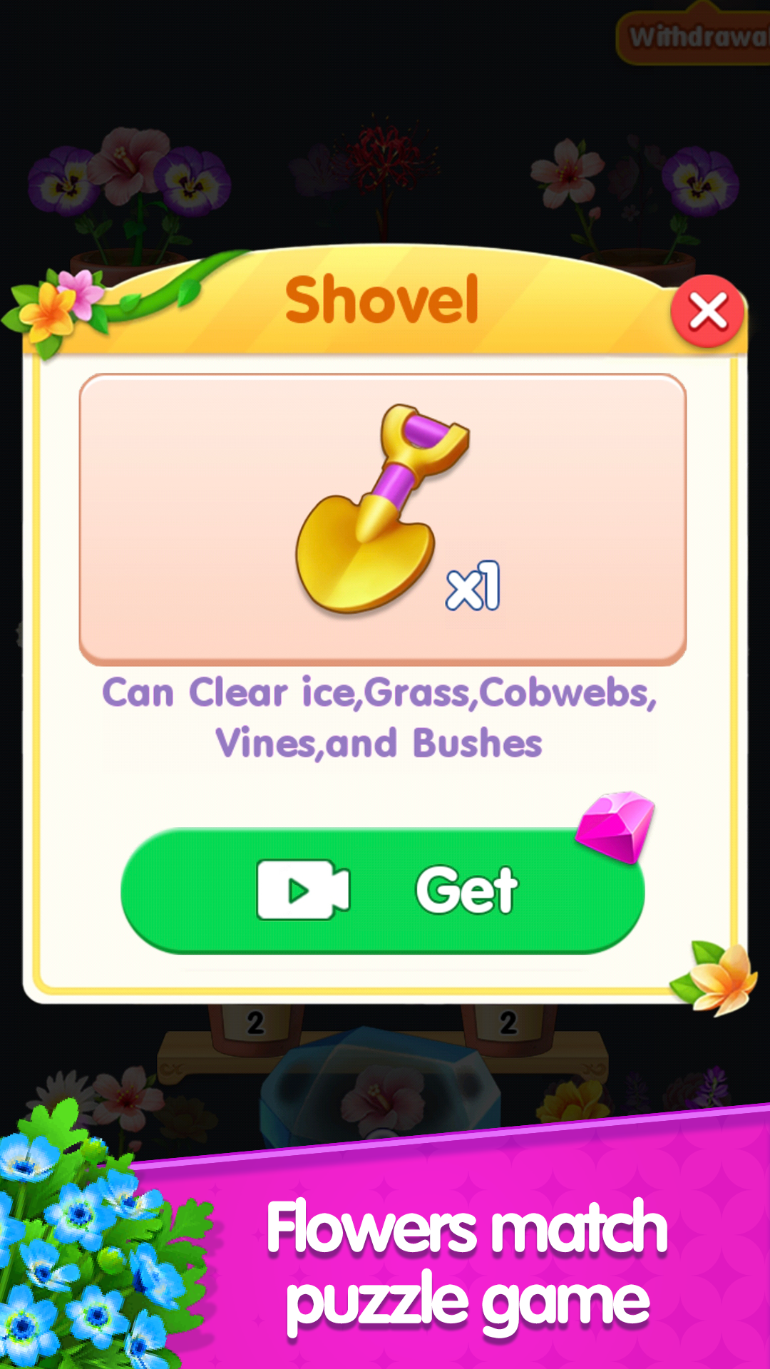 Triple Bloom Enigma Flower Categories